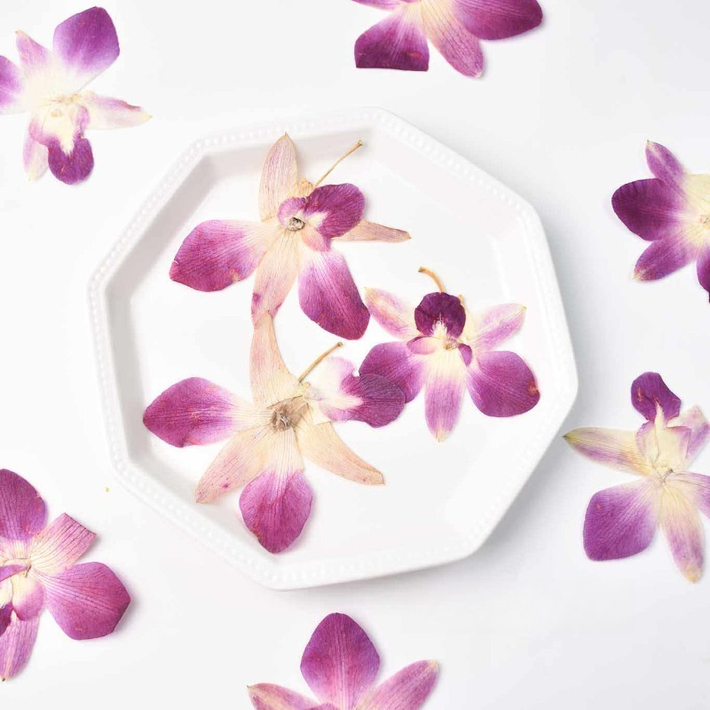 4pcs,Real Pressed Butterfly Or - Art Craft Website ulasan dan harga