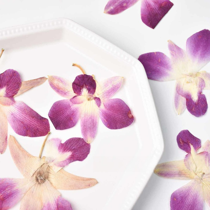 4pcs,Real Pressed Butterfly Or - Art Craft Website ulasan dan harga