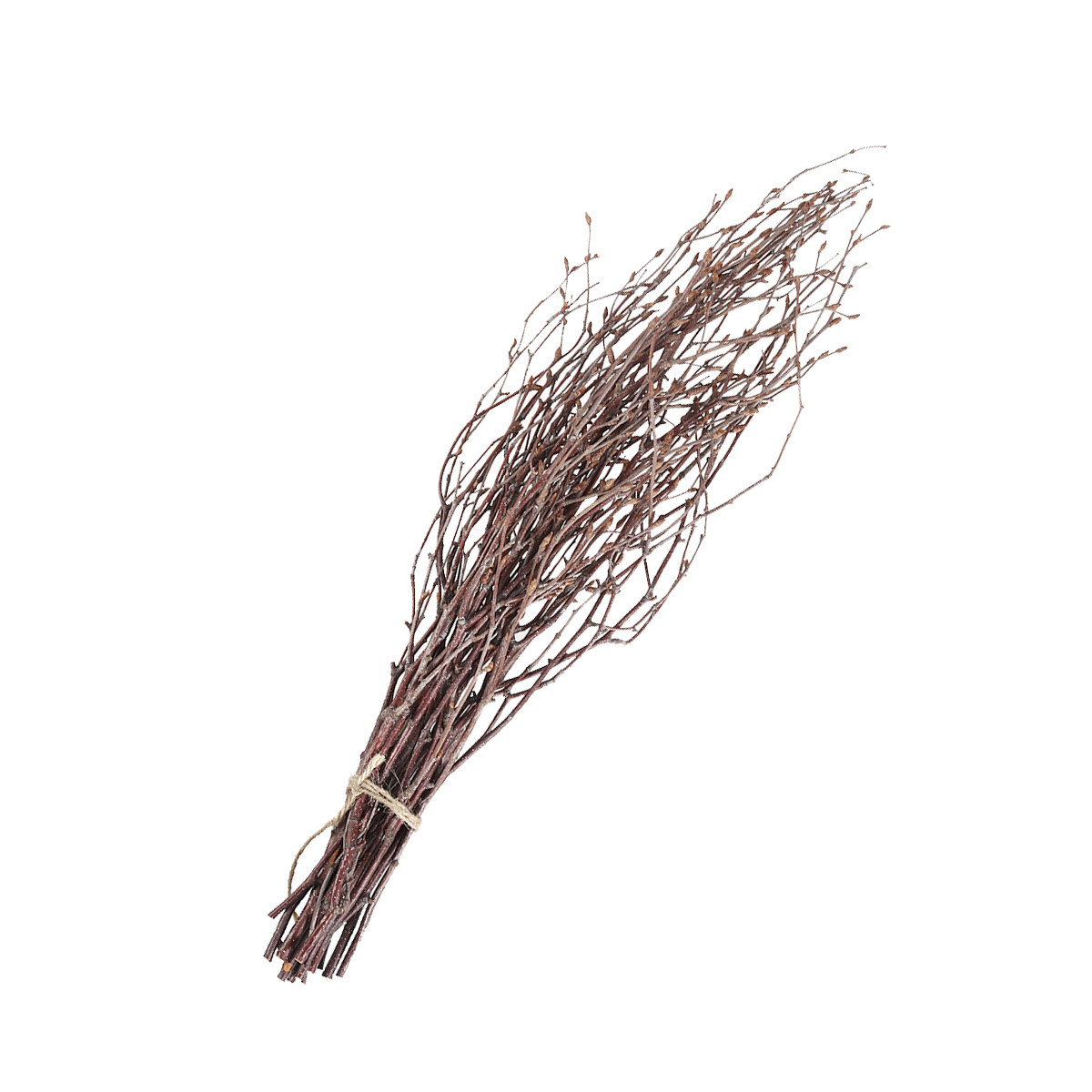 10Pcs Birch Branches Natural D - Art Craft Stick ulasan dan harga