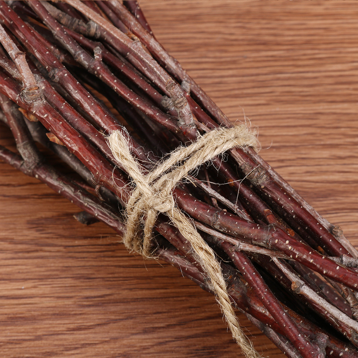 10Pcs Birch Branches Natural D - Art Craft Stick ulasan dan harga