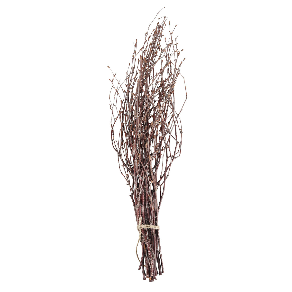 10Pcs Birch Branches Natural D - Art Craft Stick ulasan dan harga